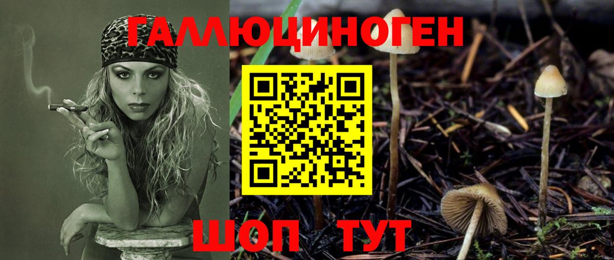 Галлюциногенные грибы MAGIC MUSHROOMS  купить наркоту  Нижнекамск  Вход с VPN  Псилоцибиновые грибы Psilocybe 